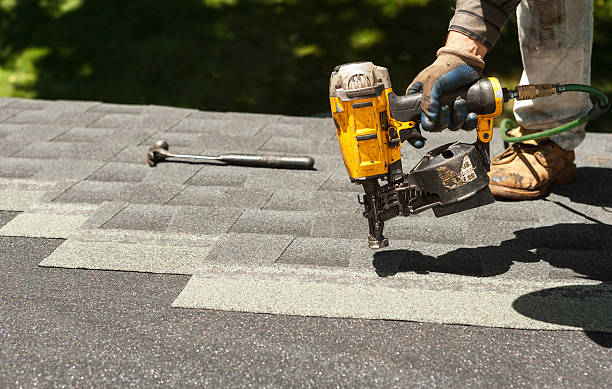Best Roof Gutter Cleaning  in Warren, OH