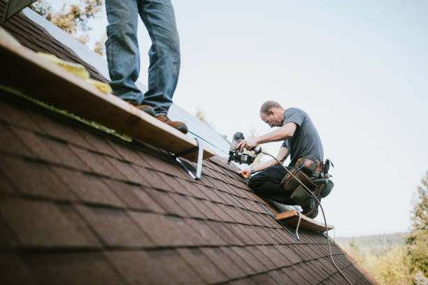 Best Flat Roof Repair Services  in Warren, OH